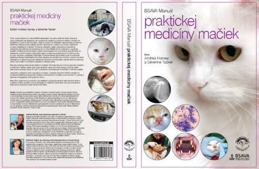 macky cover